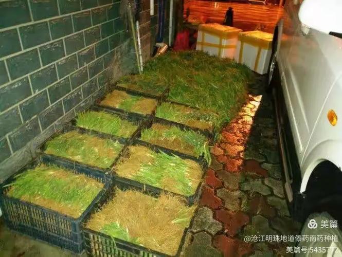 勐海县龙娇生物科技有限责任公司