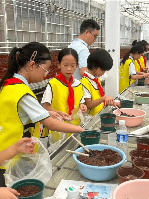 同学们亲手参与番茄苗的定植与管理,真切体会到科技给农业带来的革新