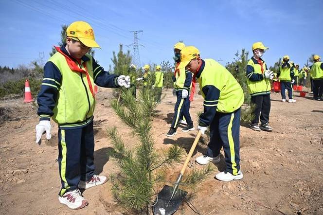 活动开始后,在专业种植老师的指导下,各小组分工协作,历经选苗,挖坑