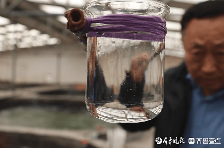 从靠天吃饭到科技兴海,东港区海洋渔业实现高质量"蝶变"