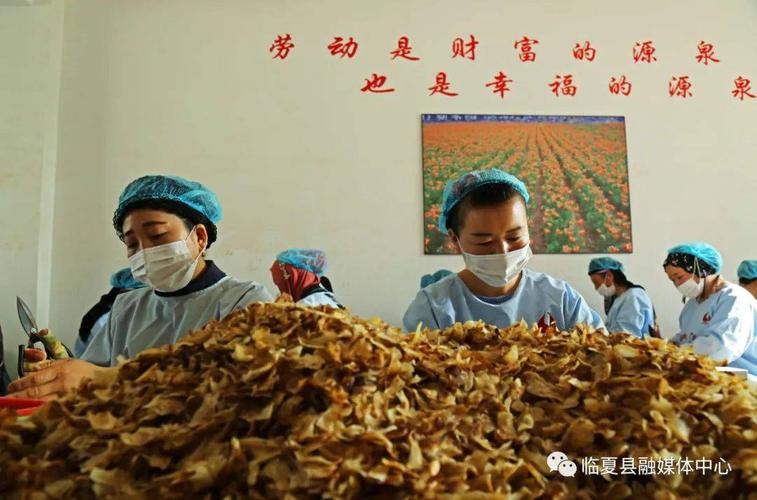 搬迁点《 干群一家亲 》贺双建 摄于土桥镇辛付村《 高效农业科技园